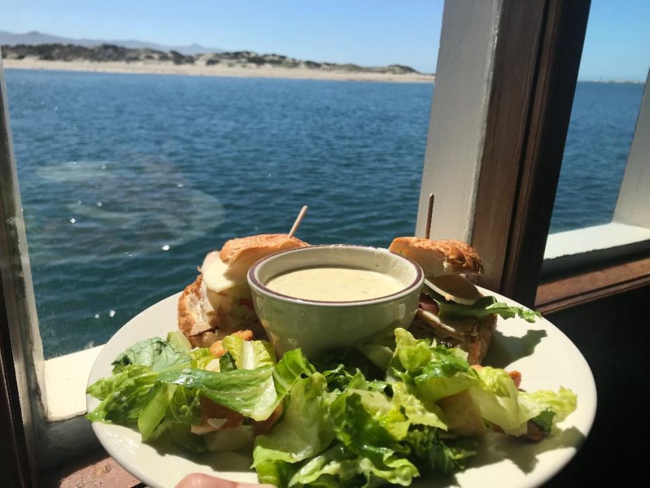 morro bay boat tours